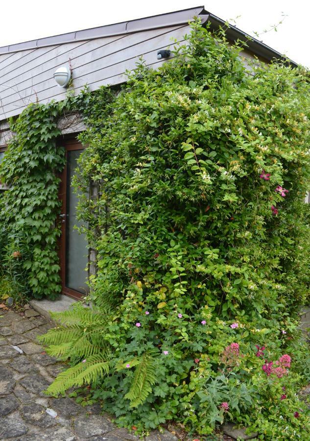 奎恩佩勒 Jardin De Belle Vue酒店 外观 照片